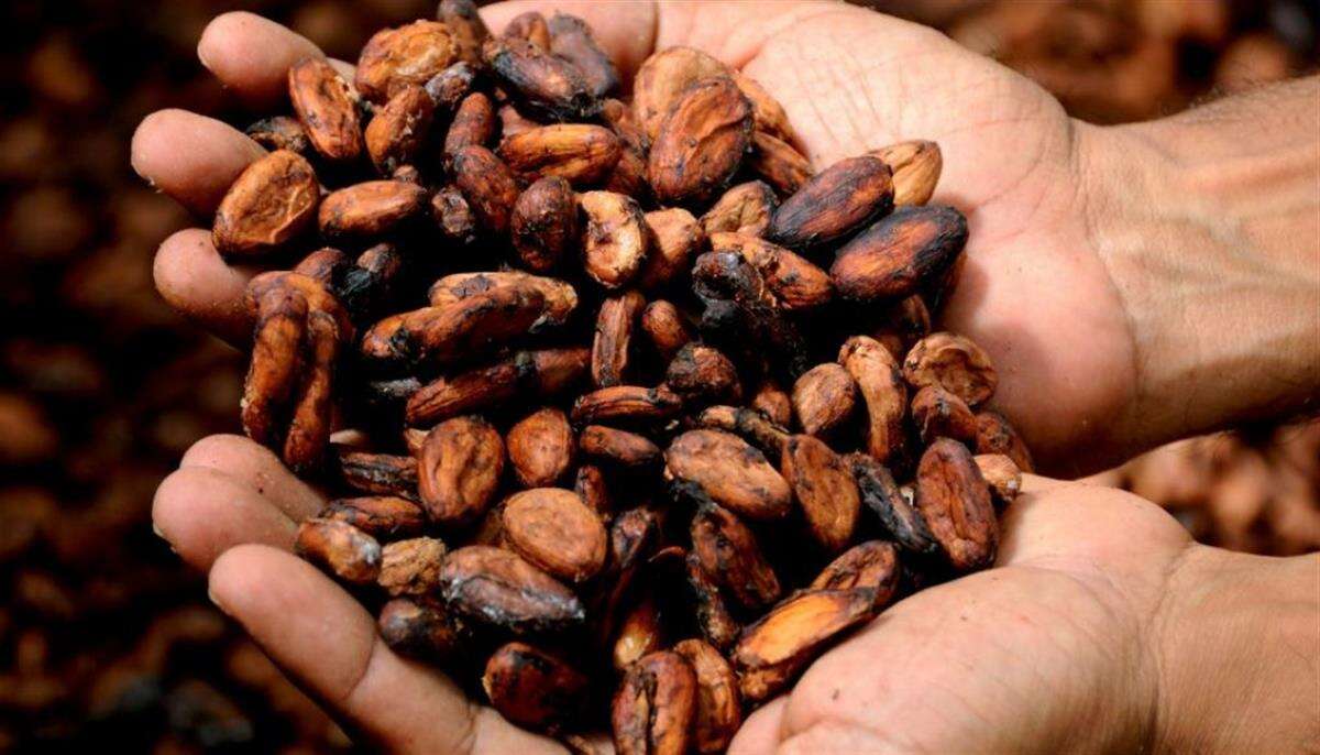 7 beneficios del Cacao, un alimento sin gluten. Los conocías?